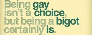 Gay not choice